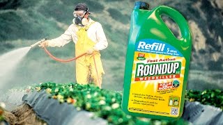 Corporate Media Is Lying to You About The Dangers of Monsanto’s Roundup  The Ring Of Fire [upl. by Rene]