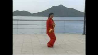 Traditional WuStyle 93 Form Tai Chi Chuan [upl. by Eux]