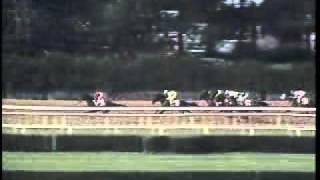 Easy Goer  1989 Belmont Stakes [upl. by Ayna]