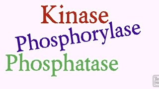 Kinase  Phosphorylase  Phosphatase  Biochemistry [upl. by Jacques]