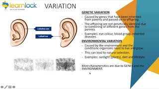 GCSE AQA Biology  B6 inheritance variation and evolution  variation [upl. by Marciano204]