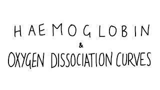 Haemoglobin amp Oxygen Dissociation Curves [upl. by Eisso]