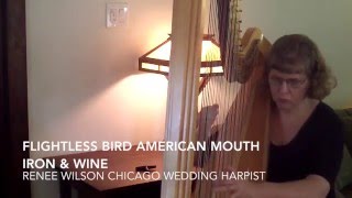 Flightless Bird American Mouth Wedding Version  Iron amp Wine Harp Cover [upl. by Hertzog]