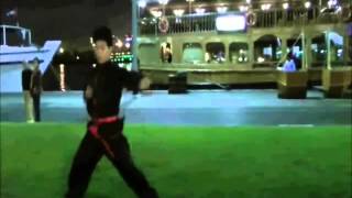 Kung Fu in Dubai  UAE Kung Fu  Wu Shu Master hang [upl. by Laenaj513]