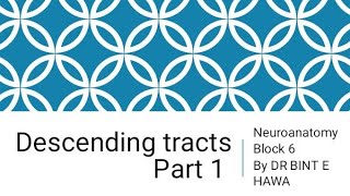 Descending Tracts Part 1  Corticospinal Tract  Neuroanatomy made easy by Dr Bint e Hawa [upl. by Enneite]