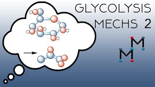 The Mechanisms of Glycolysis Part 2 [upl. by Adnylam]