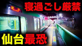 【野宿確定】大都会からわずか25分で絶望へ誘う仙台最恐の終電を乗り通してみた｜終電で終点に行ってみた55 [upl. by Averil]