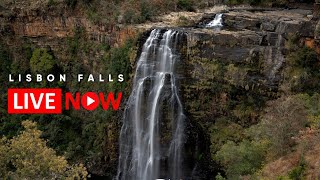 Lisbon Falls Relaxing Live Stream Full HD Africam [upl. by Ahseyn]