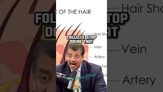 Neil Degrasse Tyson Discusses Baldness and Gravity with Joe Rogan Out of Context  JRE Highlights [upl. by Nelra]