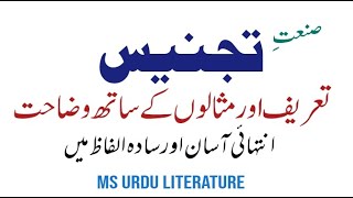 Sanat e tajnees definition types and examples  urdu grammer  صنعت تجنیس تعریفاقسام اور مثالیں [upl. by Seaver613]