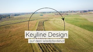 Wasserrückhalt in der Landbewirtschaftung  Keyline Design auf dem Waldpferdehof [upl. by Ogdon]