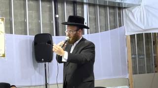 Badchan Shaya Fuchs Performing at Satmar Desh Sheva Brochos [upl. by Eulalie]