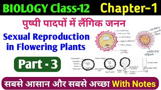 Microsporogenesis amp Microspore Structure  12th biology sexual reproduction in flowering plant [upl. by Intyrb]