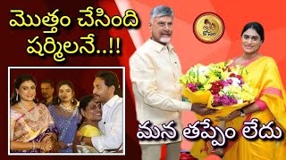 షర్మిల నువ్వే చేసింది Jagan Defeat YSSharmilaOfficial TdpActivist JanaSenaParty [upl. by Gorton496]