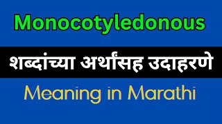 Monocotyledonous Meaning In Marathi  Monocotyledonous explained in Marathi [upl. by Yerfdog]