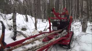 Järnhäst i skogen Jagamedhassese [upl. by Nahtan]