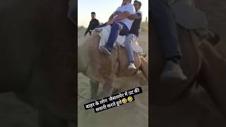 Camel 🐪 camel comedy officialashokchoudhary0001 rajasthanicultureagriculture rajasthanifarmer [upl. by Akirahc759]