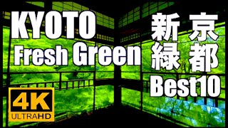 4K 京都の青もみじ 新緑 Best10 Fresh green leaves Kyoto 京都観光 旅行Japan 東福寺 瑠璃光院 祇王寺 永観堂 三千院 嵐山 Nature Sounds 庭園 [upl. by Jezabella]