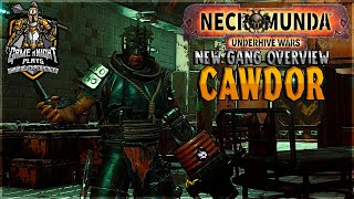 Cawdor Gang DLC Review and Overview  Necromunda Underhive Wars [upl. by Sirrep347]