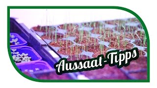 Aussaat amp Gartentipps im Januar 🌱 Jungpflanzenanzucht im Januar 🌱 Selbstversorgung [upl. by Gilson109]