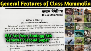 General Characteristics of Class Mammalia  BSc 3rd year Zoology 5th Semester 2nd Paper [upl. by Alrahc102]