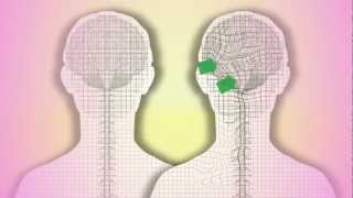 CranioSacral Therapy What is it How does it work by Tad Wanveer [upl. by Irra]