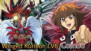 HERO Winged Kuriboh LV 6 Combo Video [upl. by Aihtnic436]