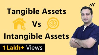 Tangible Assets amp Intangible Assets  Explained in Hindi [upl. by Anilrac715]