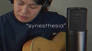 synesthesia  mayonnaise  echodominguez cover [upl. by Fleming]