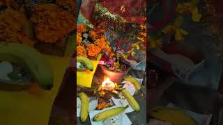 Tulsi vivah p0divloveammu music song [upl. by Parrish338]