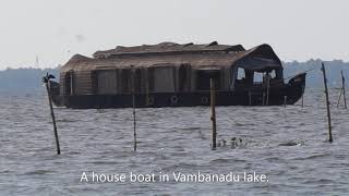 Kumarakom bird sanctuary കുമരകം പക്ഷി സങ്കേതം [upl. by Eimerej441]