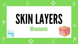 Skin Layers  Layers of skin  Mnemonic  Hindi  Skin  Dermatology  Medi Trix [upl. by Burdelle]