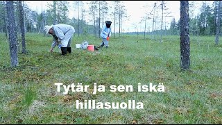 TytaÌˆr ja sen iskaÌˆ hillasuolla [upl. by Oniger]