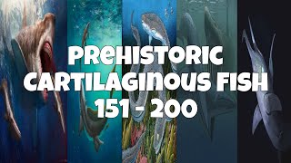 Prehistoric Cartilaginous Fish 151  200 45 [upl. by Huan290]