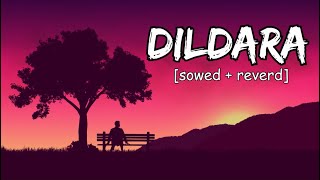 Dildara slowedreverb [upl. by Airpal]