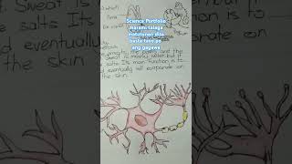 Grade 6 Science Portfolio  Nagandahan ang nanay ko shortvideo science portfolio [upl. by Clarhe]