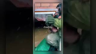 Men Save Trapped Dog from Flooded House ❤️🐶 [upl. by Nevla288]