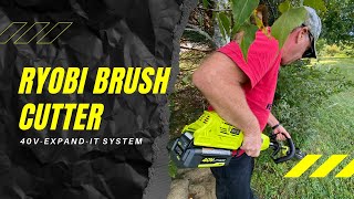 Ryobi Brush Cutter  Expand It System [upl. by Jacquelynn]