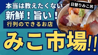 【新橋ランチ】2023年食べ納め みこ市場 日替りみこ丼 1900円！ norichan [upl. by Shaum]