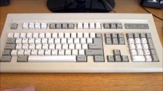 Chicony KB5162F review Alps SKCM White switches [upl. by Anyah]