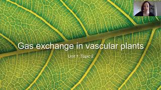 Gas exchange in vascular plants [upl. by Ahsikram984]