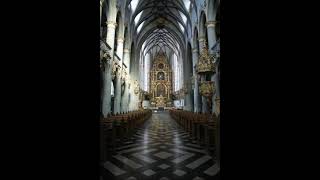 J S Bach Präludium C Dur BWV 547 [upl. by Aura295]