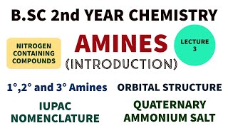 Amines  Introduction  Nitrogen Compounds  IUPAC  1°2° and 3° Amines  BSC 2nd Year Chemistry [upl. by Erdeid]