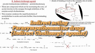 12Medicinal ChemistrySAR of Indirect Parasympathommitec drugs Indirect Cholinergic agonist [upl. by Zantos988]