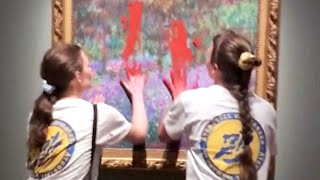 Climate protesters smear paint and glue on Monet painting in Sweden [upl. by Cirri159]