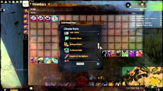 GW2 ★ Ascended Accoutrement Achievement And Reward [upl. by Llebyram422]