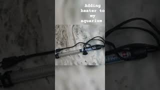 Adding heater to my aquarium and follow for more such videos aquariumbuilder customaquarium [upl. by Lynea18]