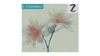 CREPE PAPER FLOWERSFLOWER Gorgeous Crepe Paper Decoration Ideas  Crepe Paper craft [upl. by Elleoj769]