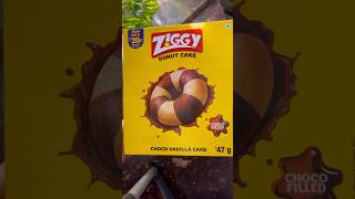 donutcake ziggy cake cakelover foodie shortvideo shorts [upl. by Yves]