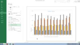 How to Print a Chart from Excel 2013 [upl. by Kristal]